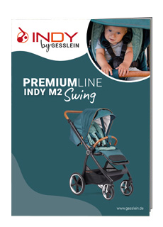 FLYER INDY M2 SWING