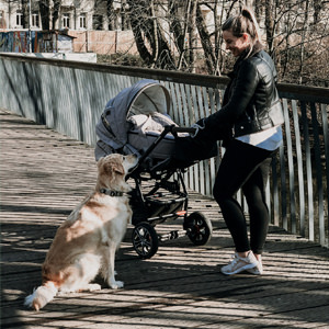 Gesslein Kinderwagen: Social Media